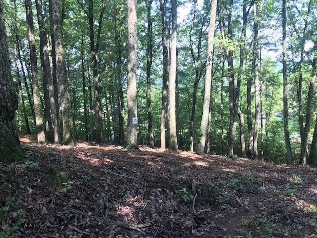 25 Piney Knob Drive, Spring City