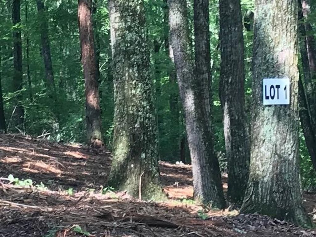1 Piney Knob Drive, Spring City