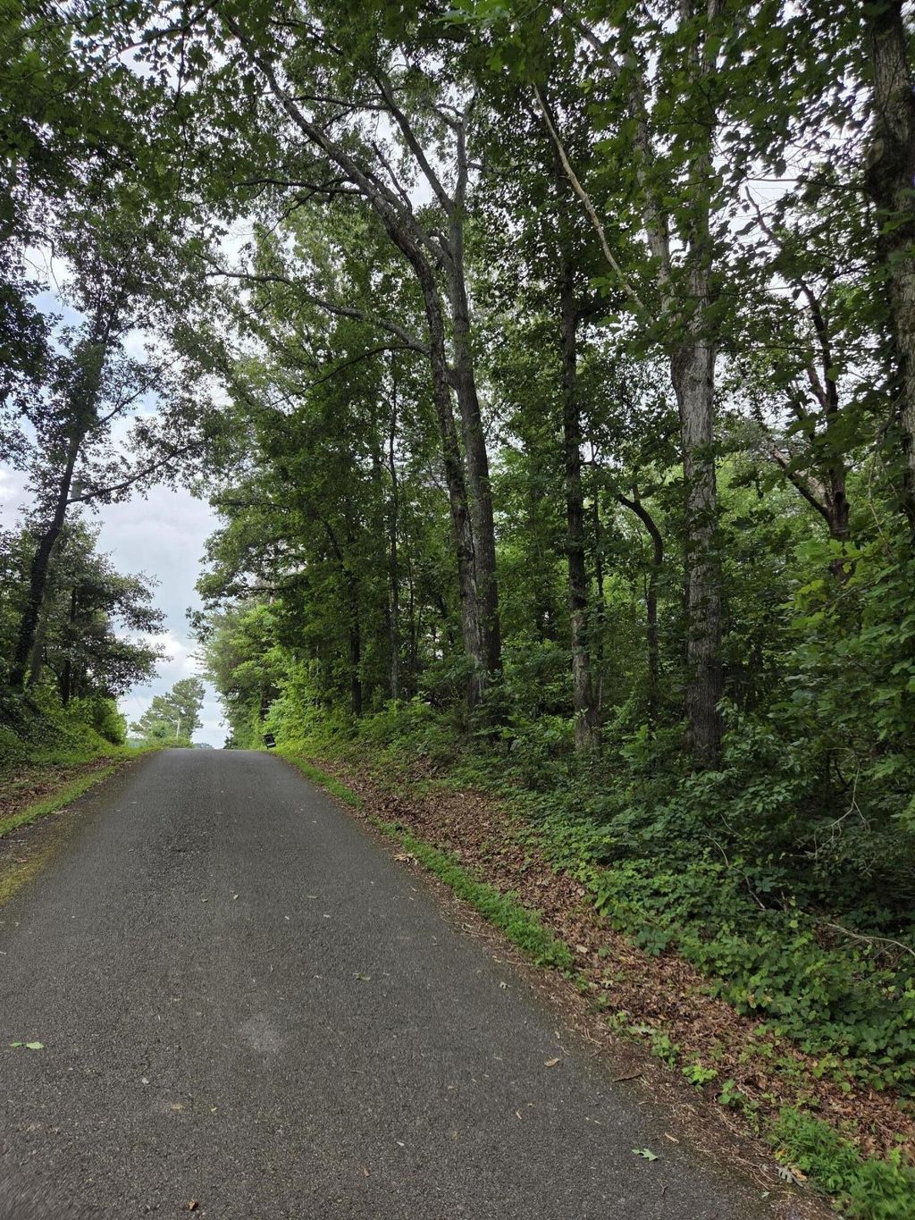 0 Co Rd 156, Riceville