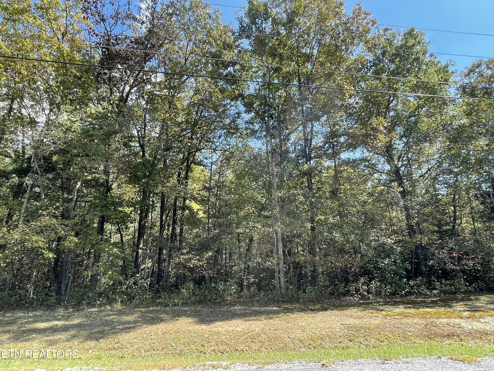 Photo of Listing #3246899