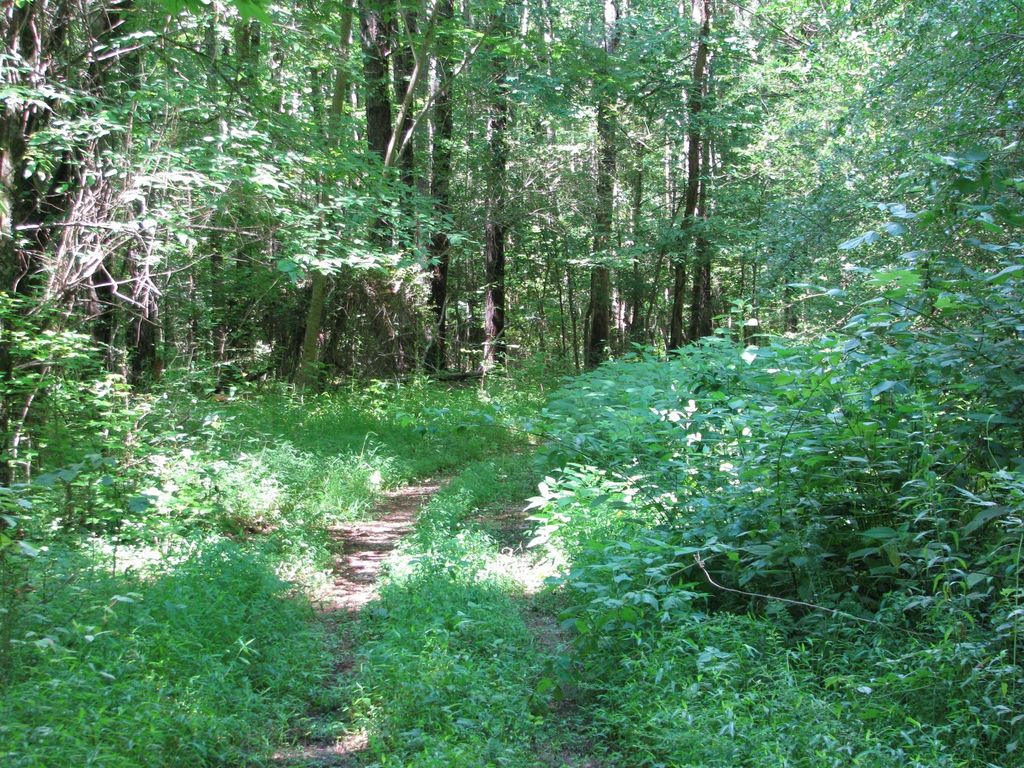 0 Matthews Hollow Rd, Waverly