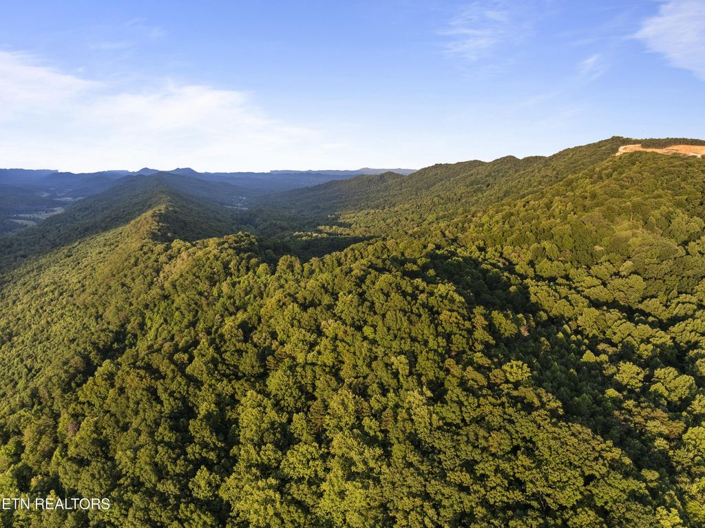 0 Spruce Pine Rd, Mooresburg