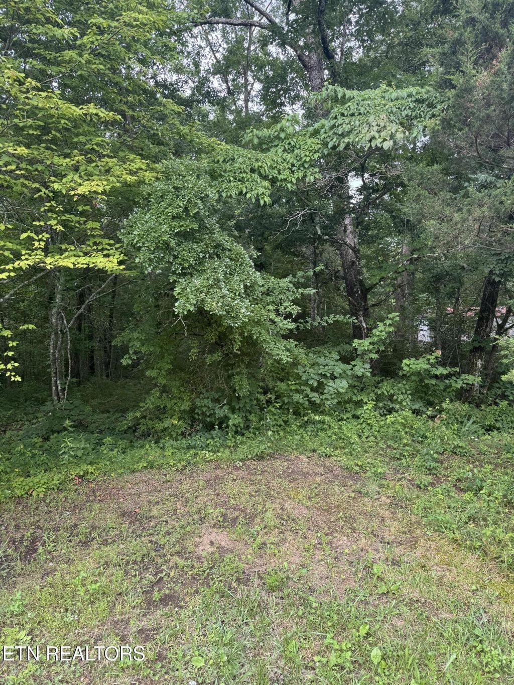 0 Timothy Drive, Crossville