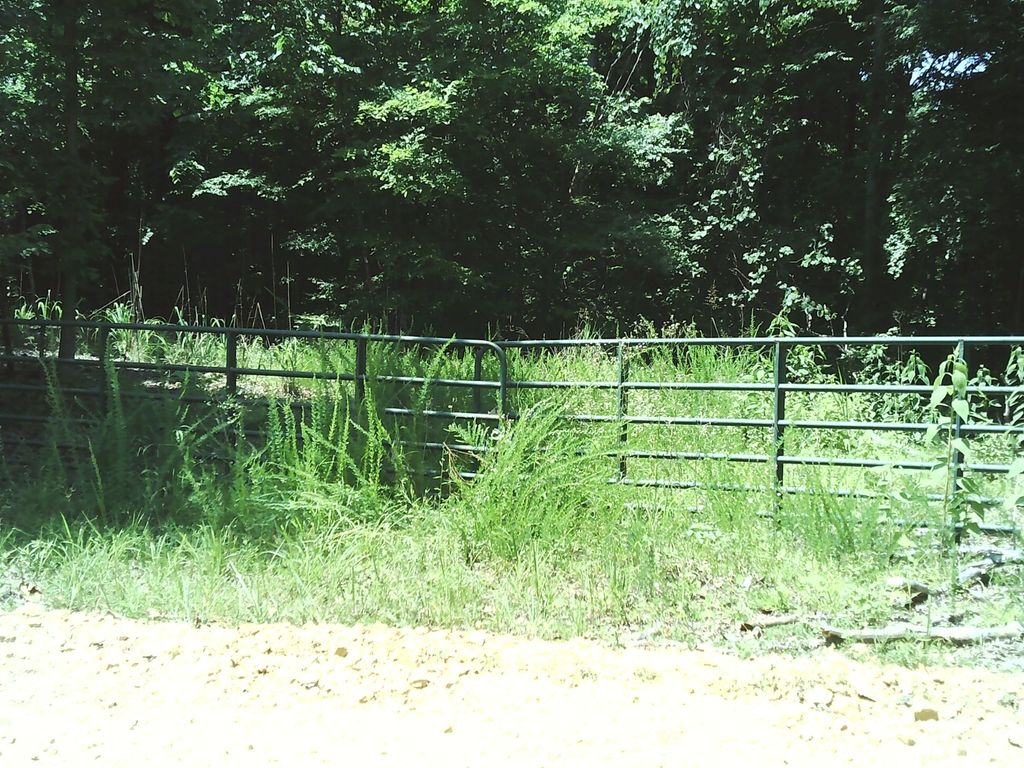 0 Hargis Rd, Bumpus Mills