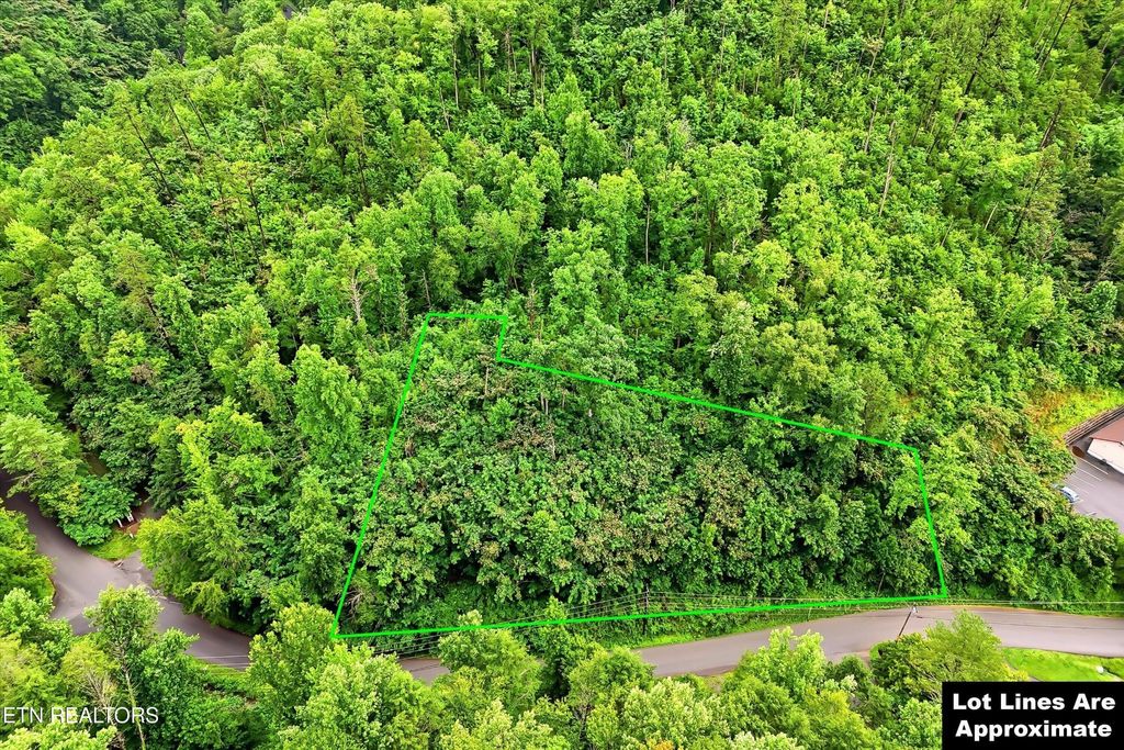 127 Beech Branch Rd, Gatlinburg
