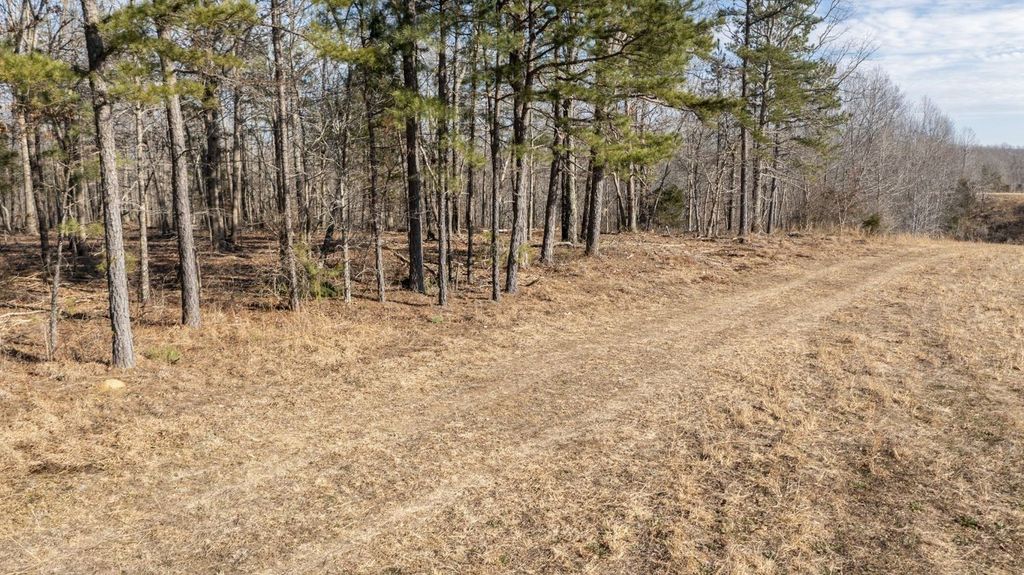 257 Saddlebrook Dr, Hohenwald