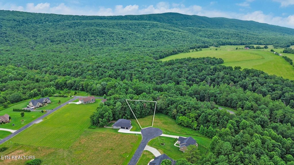 0 Suzie Court, Crossville