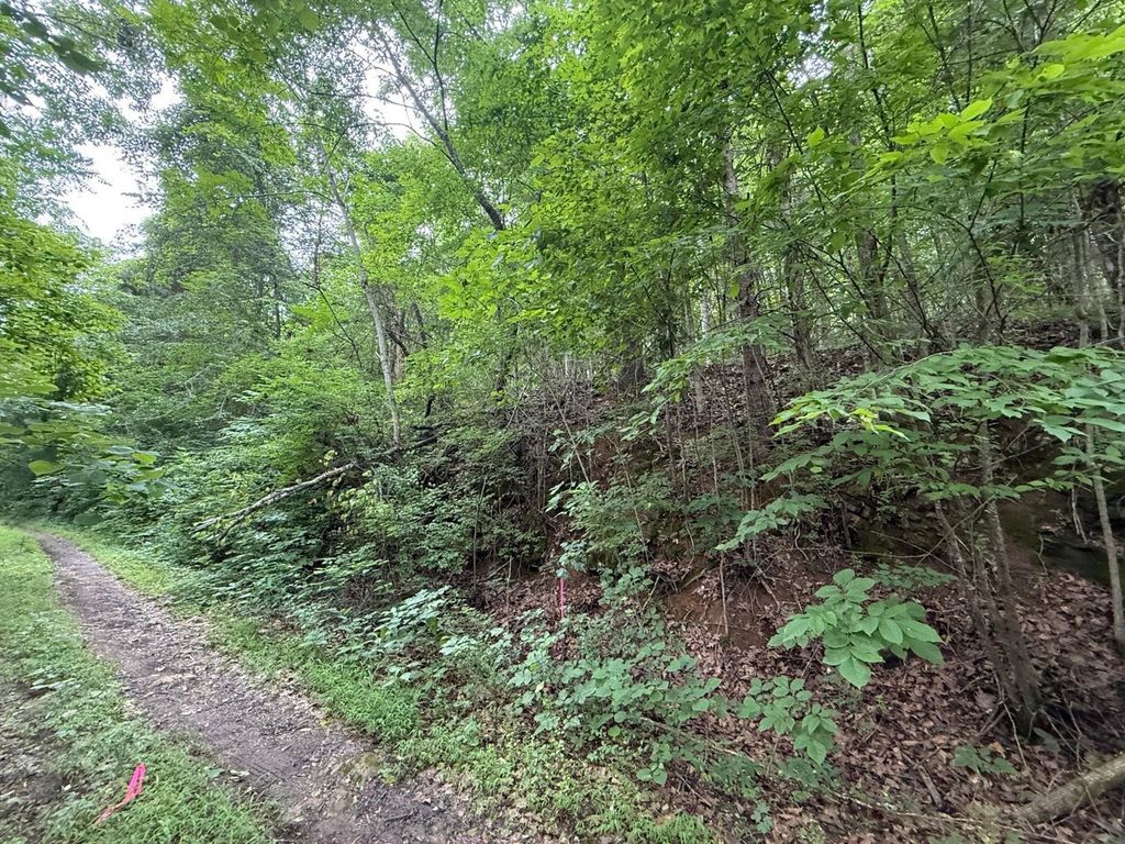 0 Fortunato Drive, Baneberry