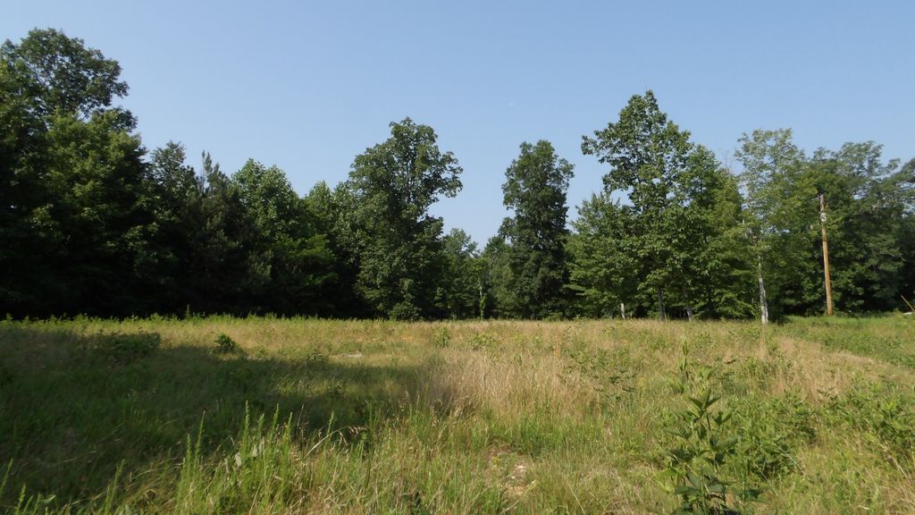 580 Pleasant Cemetery Lane, Gainesboro