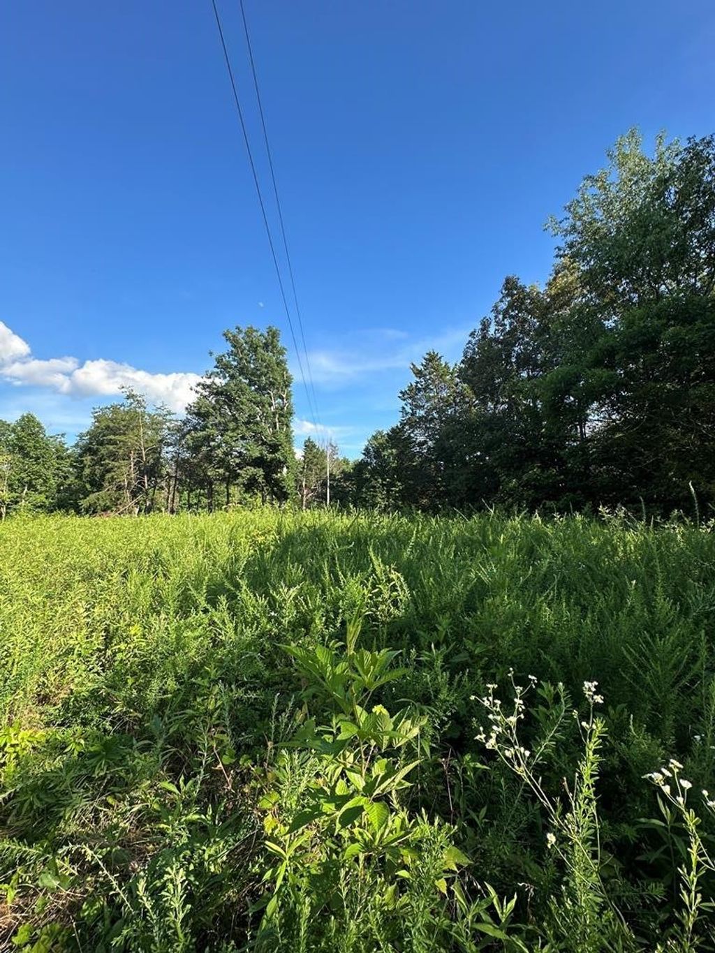 3061 Hilham Hwy Of, Hilham