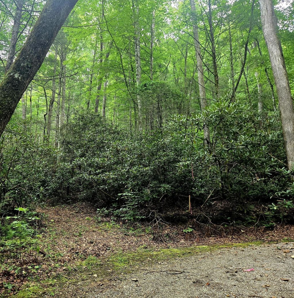 0 Holder Cemetery Road, Tellico Plains