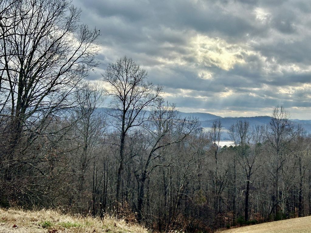 0 Topaz Lane, New Tazewell