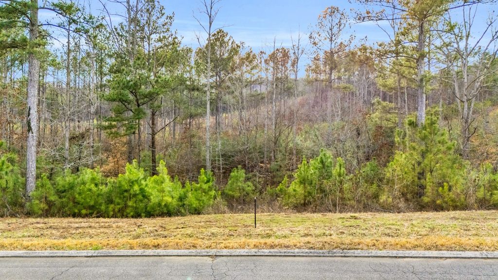 110 Quail Lane, Ocoee
