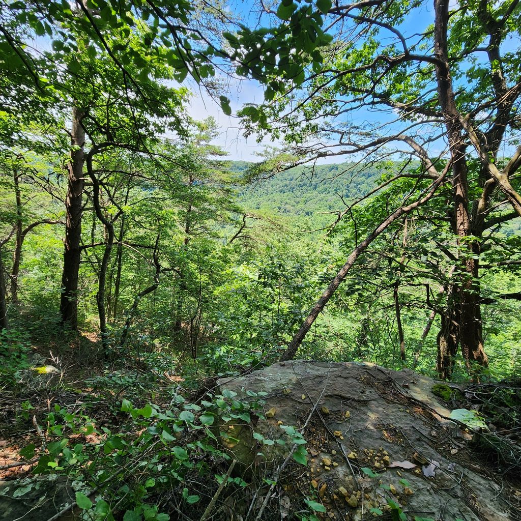 0 Eagle Point Drive, Monteagle