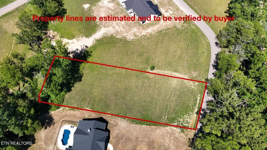 50 Sunset Blvd, White Pine