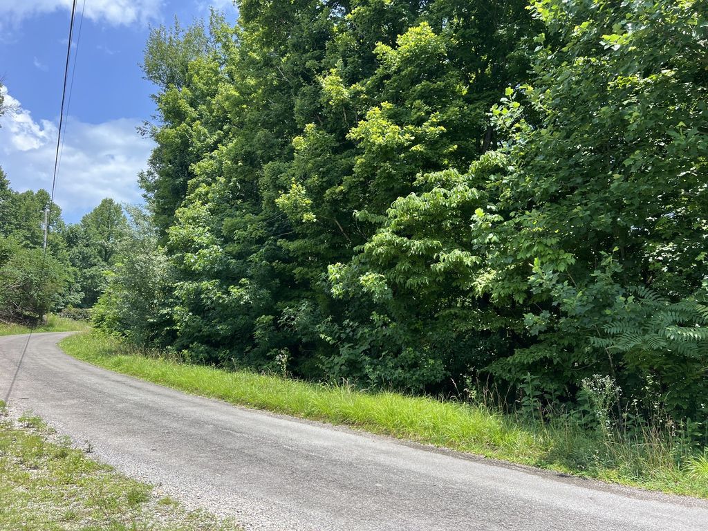 0 Lafever Ridge Rd, Silver Point