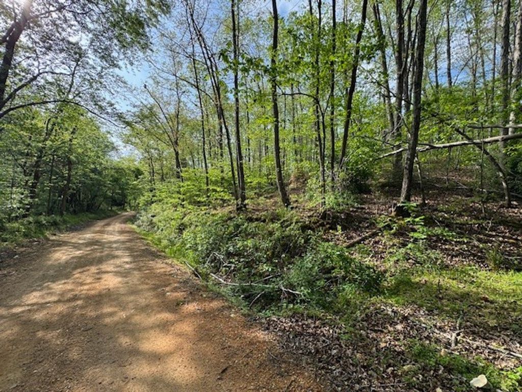 455 Moss Spring Hollow Road, Centerville