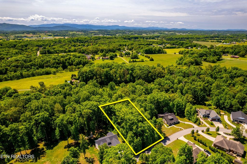 1055 Houston Springs Rd, Greenback