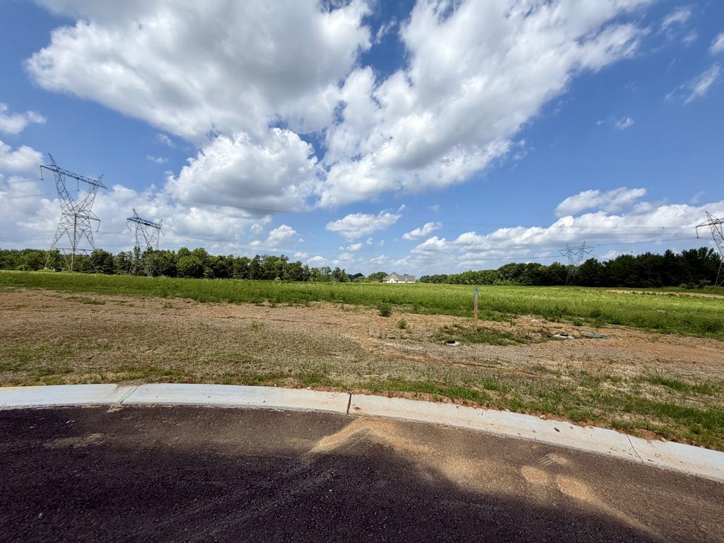10 Fawn Meadows, Clarksville