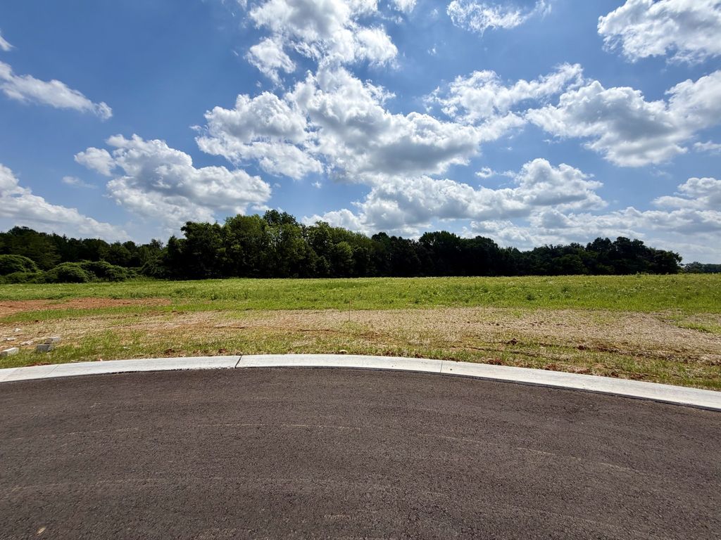 12 Fawn Meadows, Clarksville