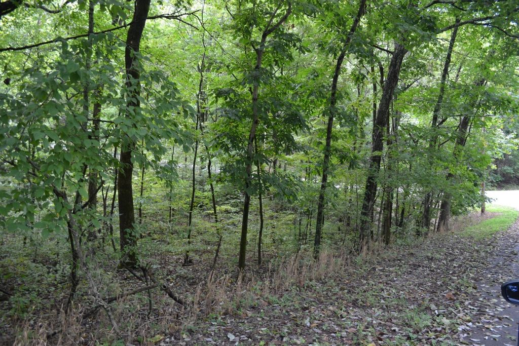 0 Pond Drive, Gallatin