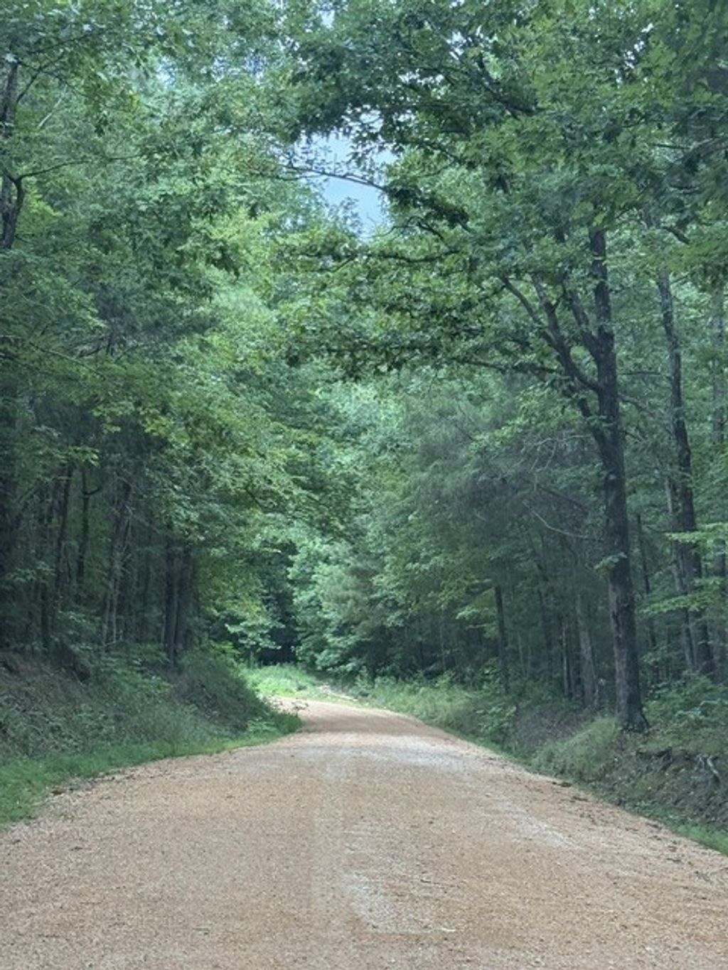 0 Old State Highway 69, Sugar Tree