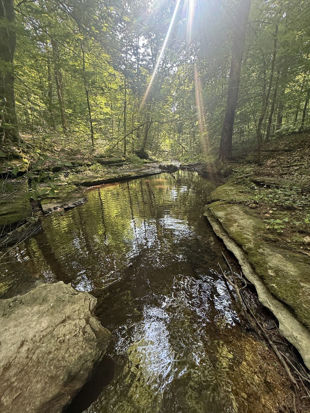 0 Toll Hollow Rd, Waynesboro