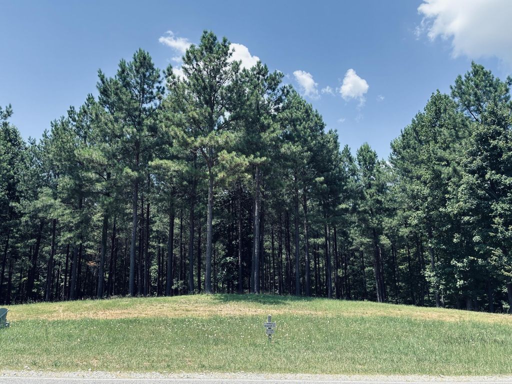 1711 Raulston Falls Road, Jasper