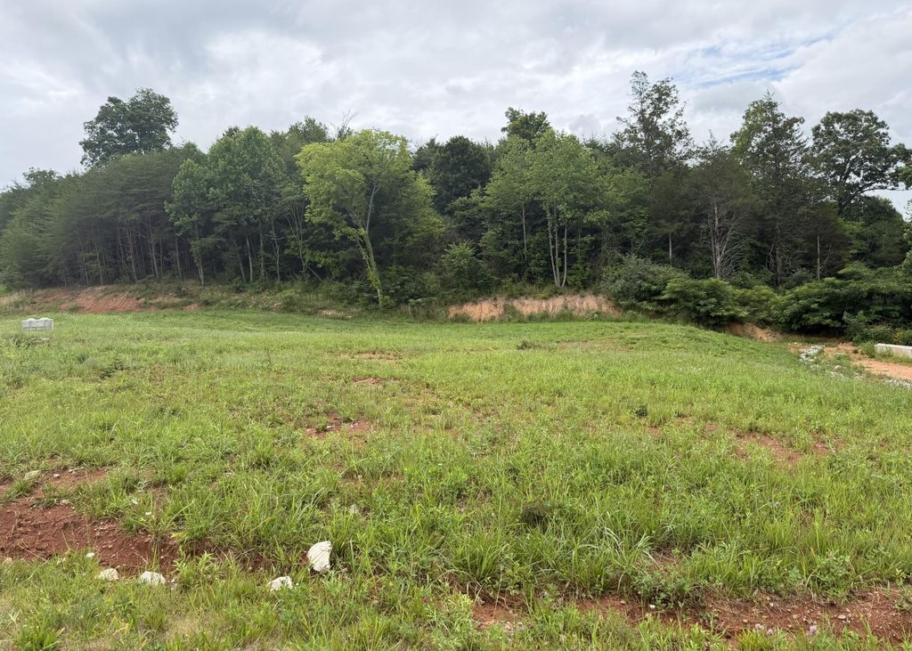 0 Bear Lane, Tellico Plains