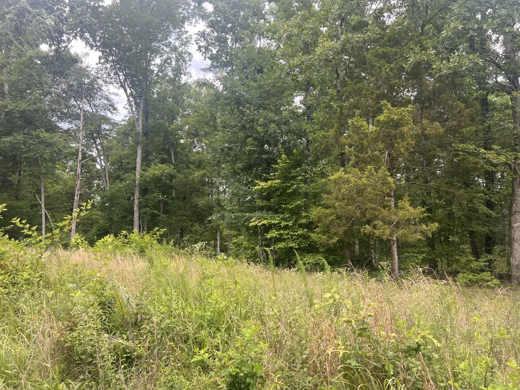 5 Toms Creek Lake Rd, Linden