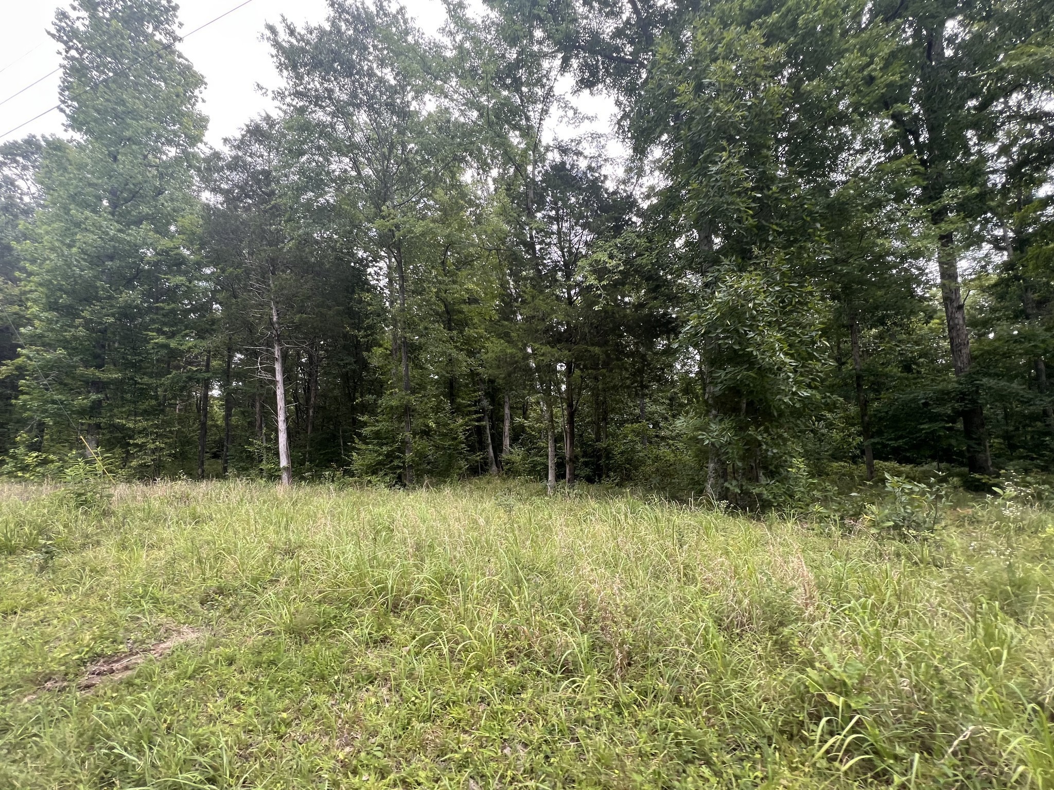 Photo of Listing #3261081