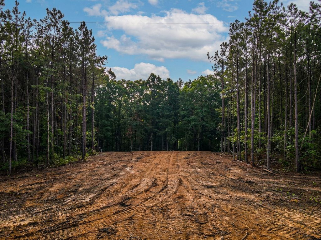 0 Brush Creek Rd, Hohenwald