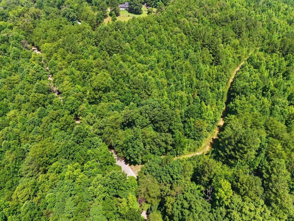 0 W Francis Springs Road, Whitwell