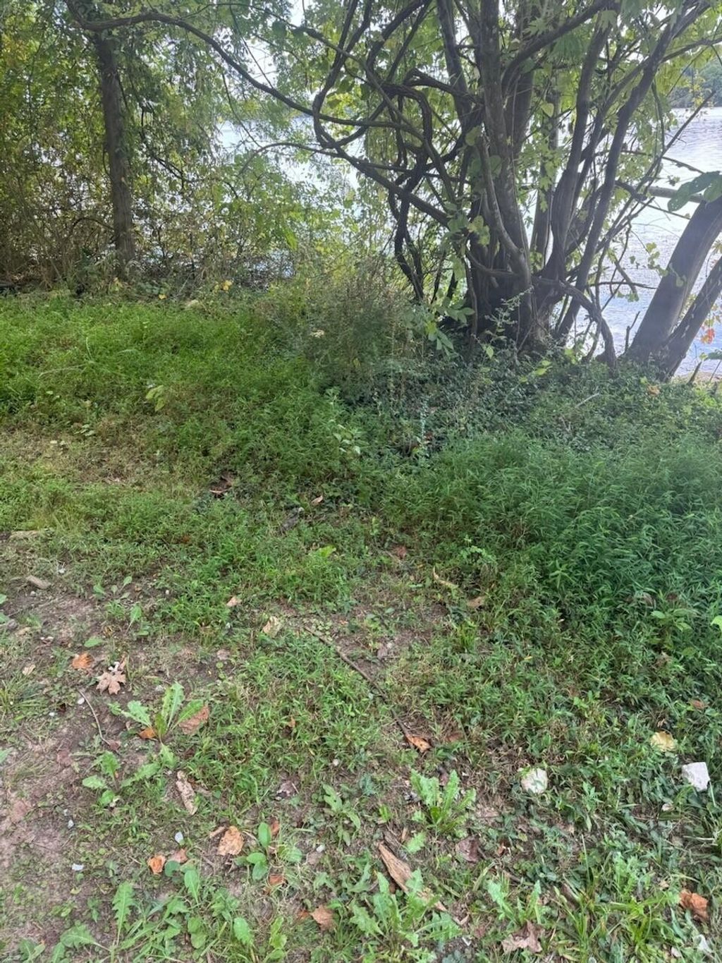 0 Circle Road, Crossville