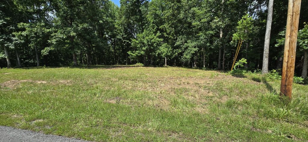2770 Mayne Trace Rd, Waverly