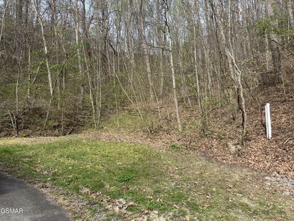 12 Whetstone Road, Sevierville