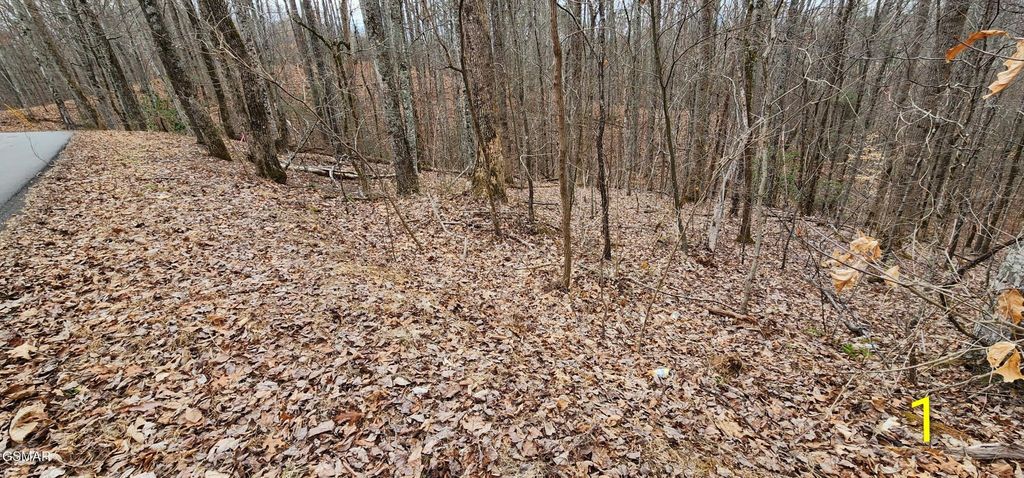 2225 King Hollow Road, Sevierville