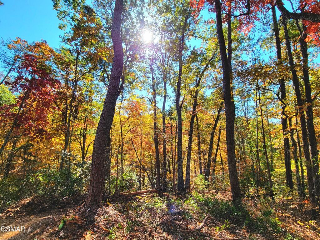 54 Riversong Ridge Way, Sevierville