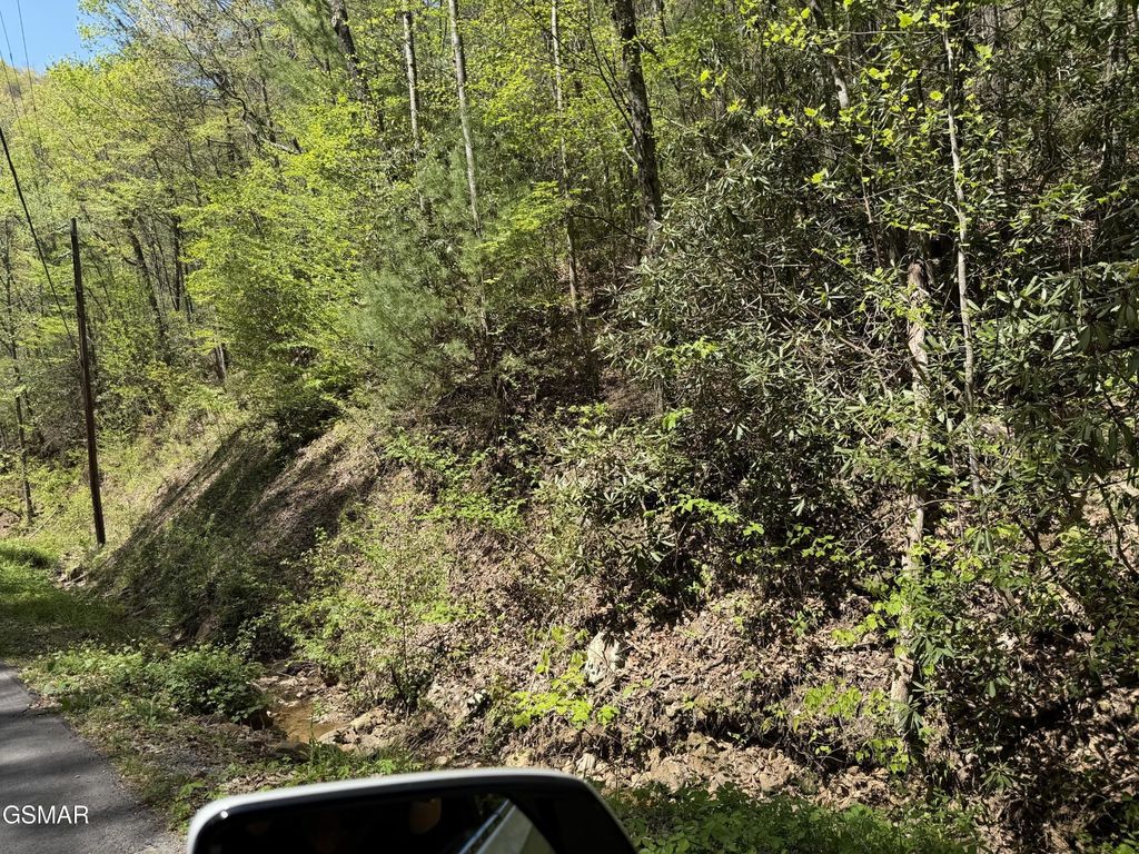 23 Alpine Drive, Sevierville