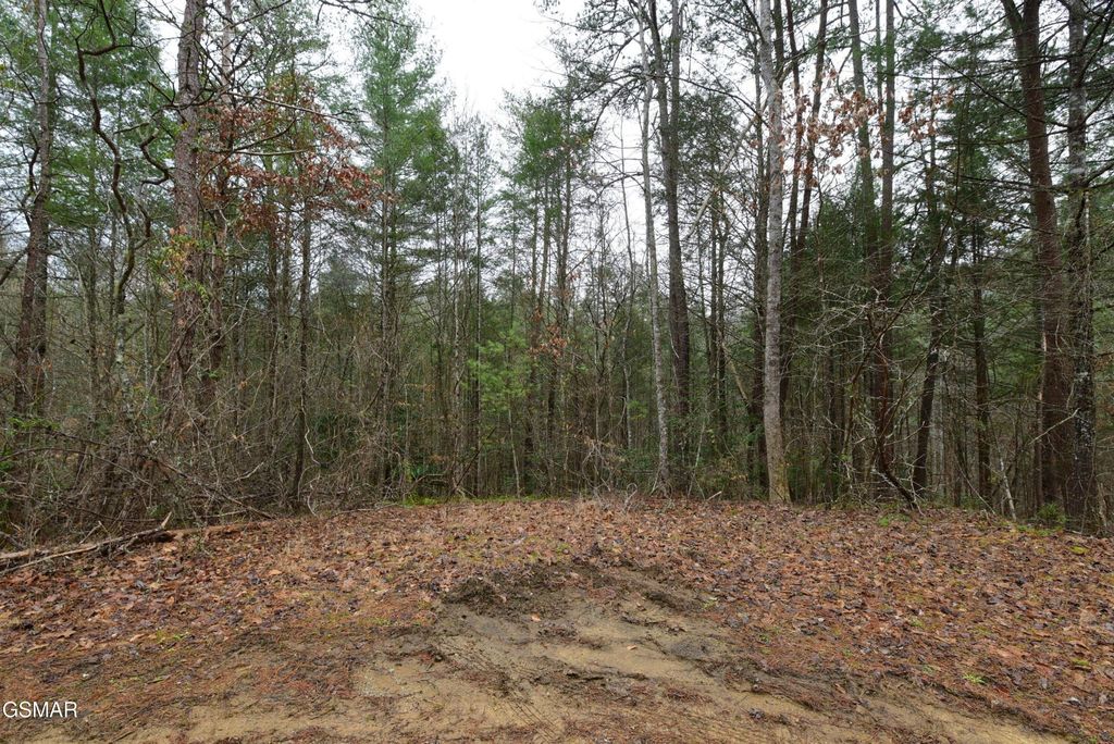 23 Alpine Ridge Way, Sevierville