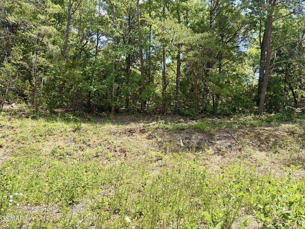 7 Burchfiel Way, Sevierville