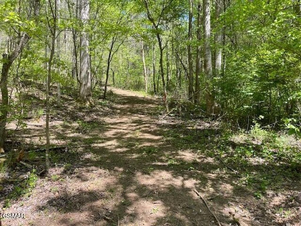 0 Jason Pl Jones Cove Rd Off, Sevierville