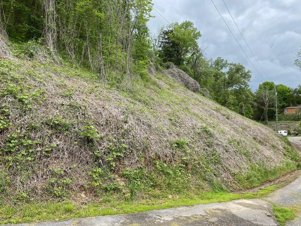 3 Coveside Way, Sevierville