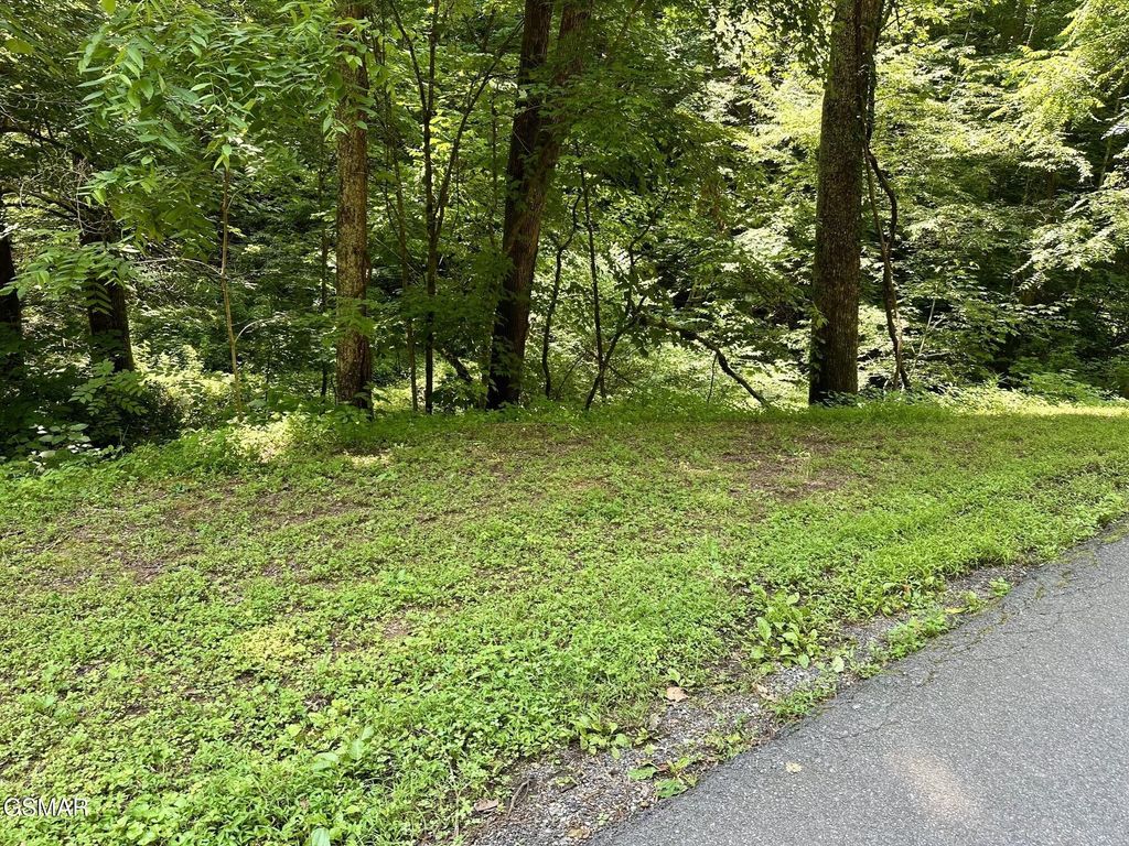 706 School House Gap Road, Sevierville
