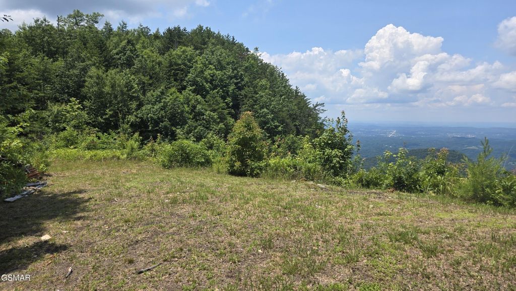 0 Top Road, Sevierville