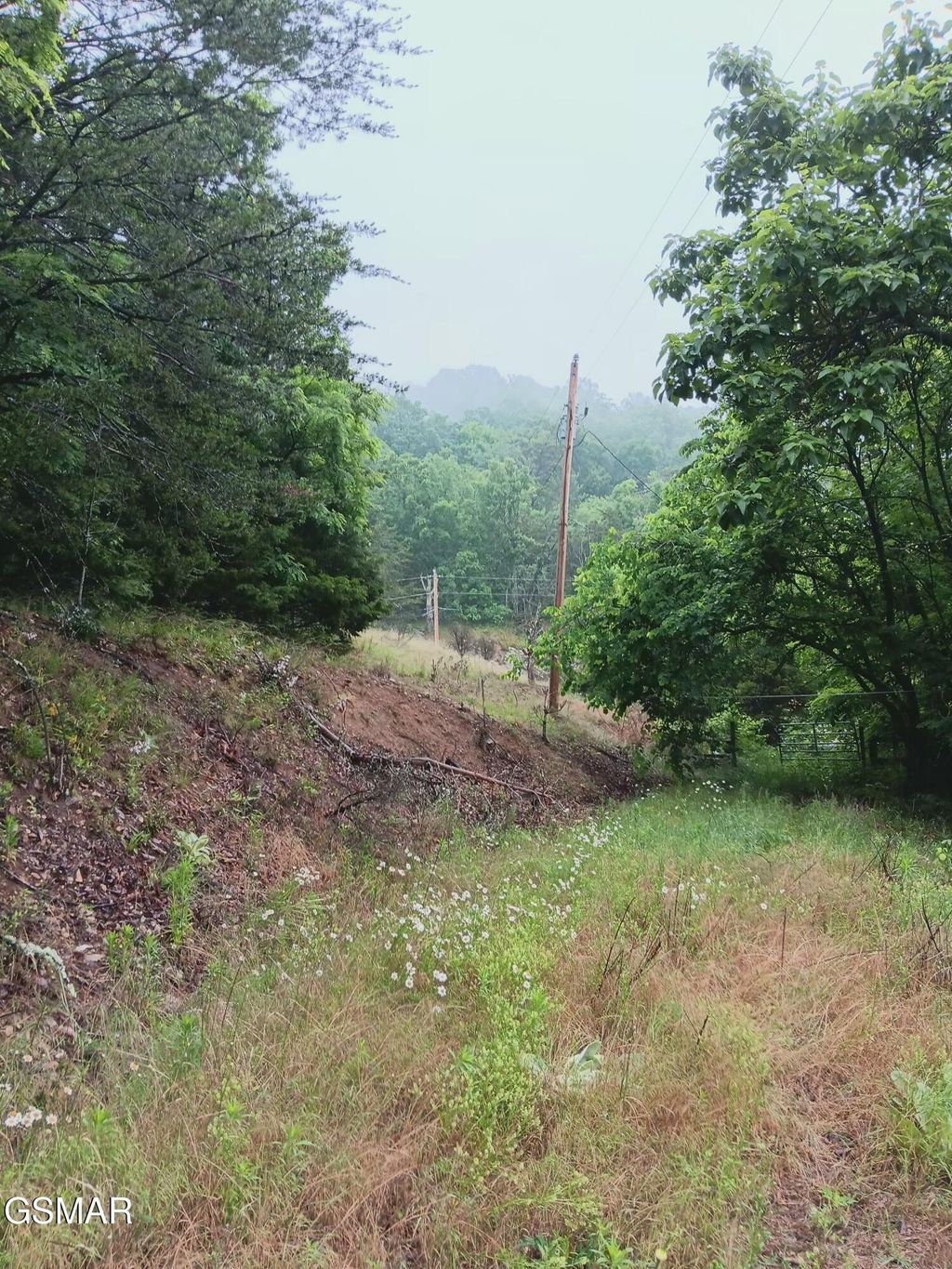 0 Highway 31, Mooresburg