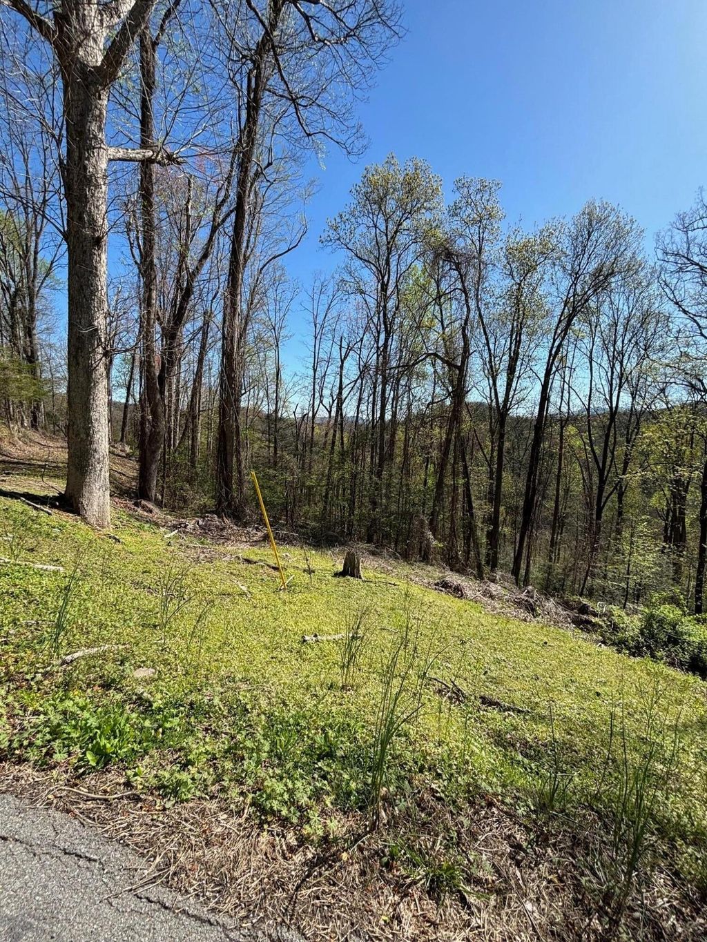 0 Esslinger Low Gap, Gatlinburg