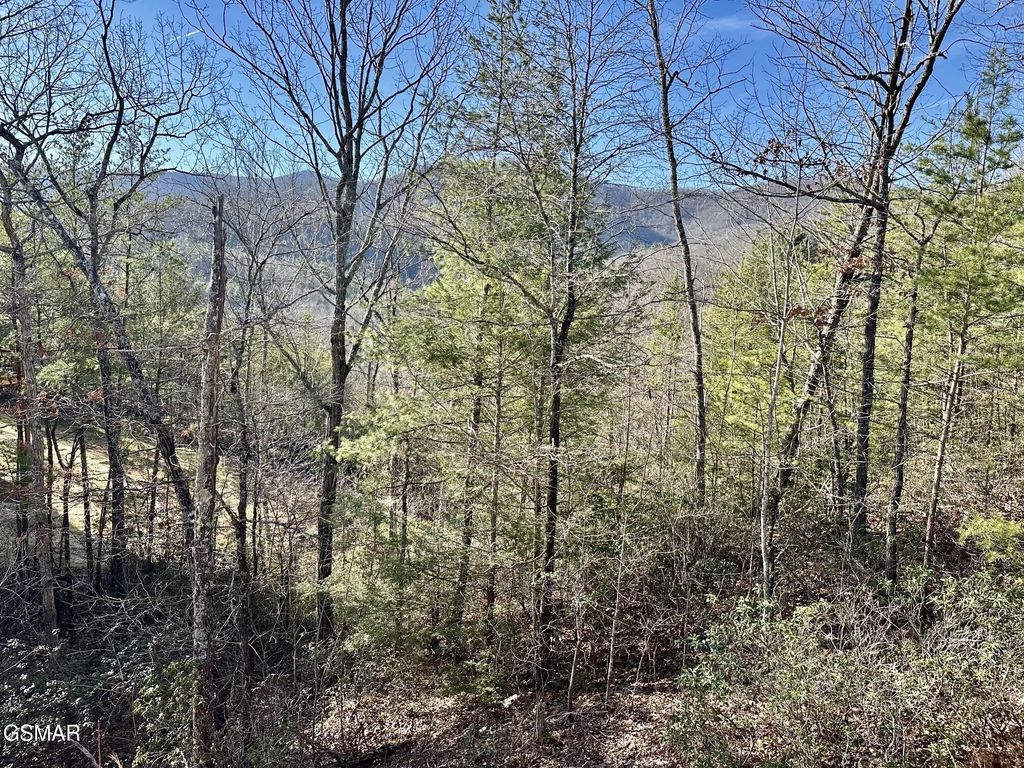 1306 Morning Dove Way, Sevierville