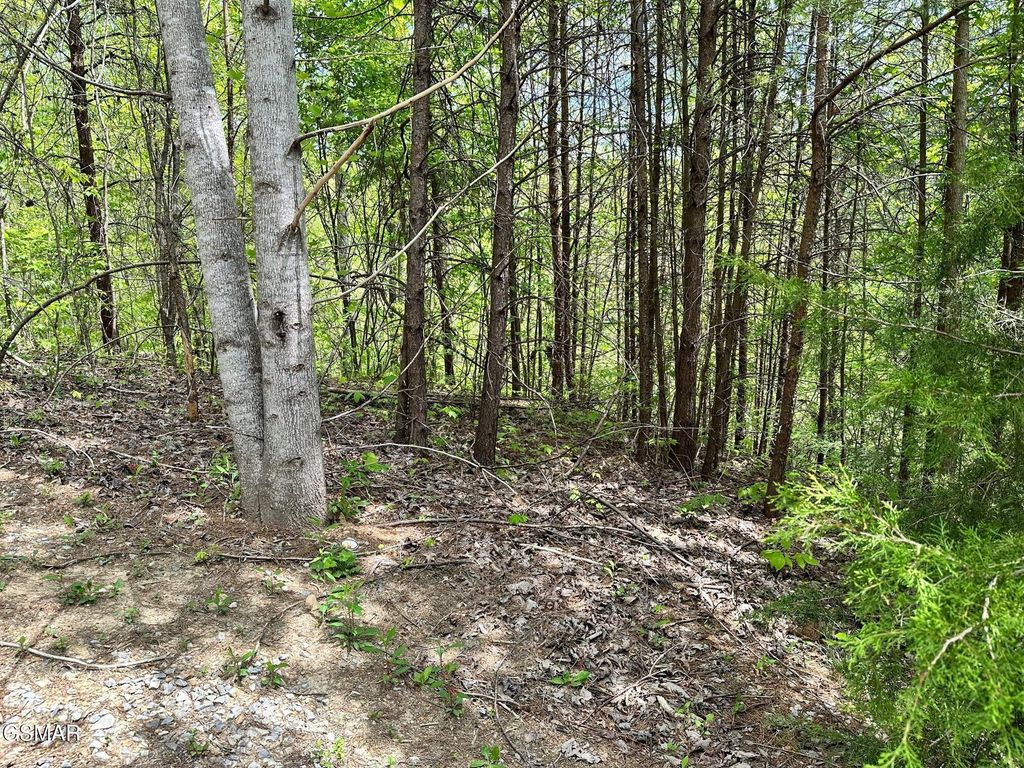 1430 Mountain Dreams Way, Sevierville