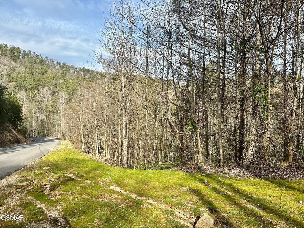 1423 Mountain Dreams Way, Sevierville